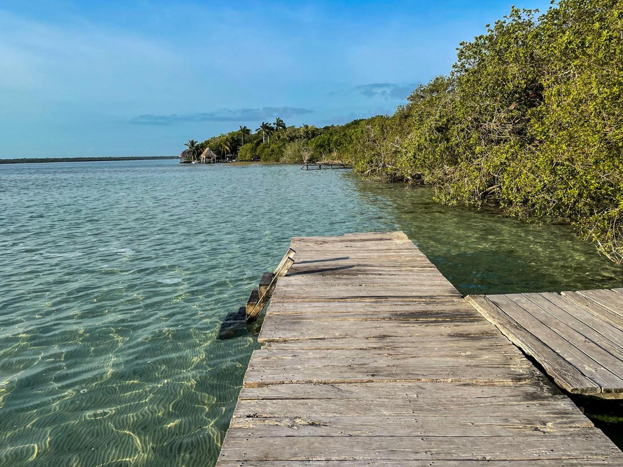 Bufo Alvarius Sanctuary Bacalar Buenavista  Exterior foto