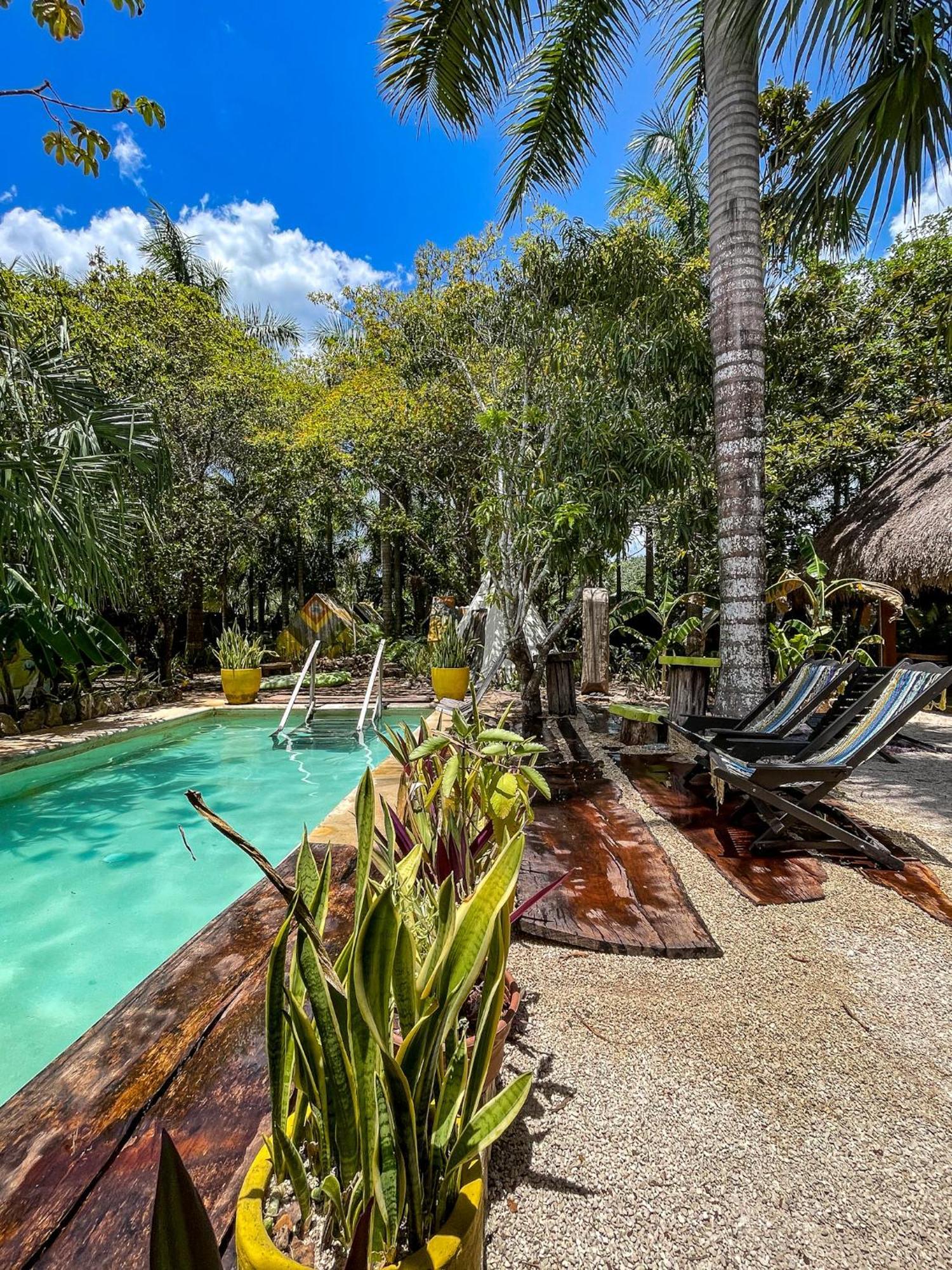 Bufo Alvarius Sanctuary Bacalar Buenavista  Exterior foto